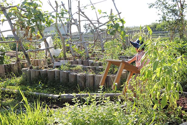 Edible Garden